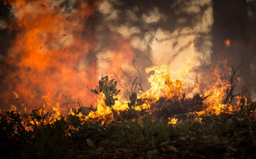 Több tízezer embernek kellett elhagynia az otthonát Kalifornia déli vidékein