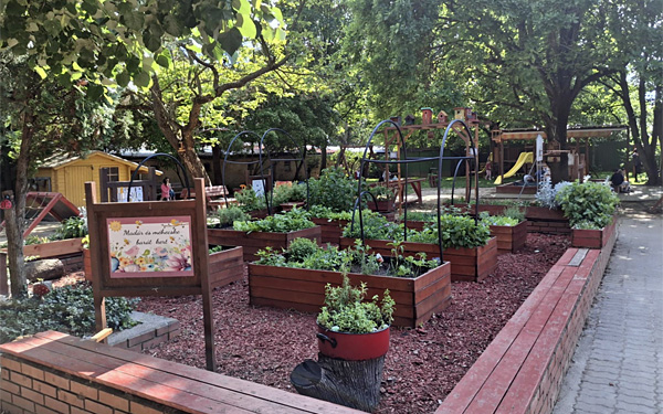 Országos díjat nyert a Dombóvári Szivárvány Óvoda madár- és méhecskebarát konyhakertje