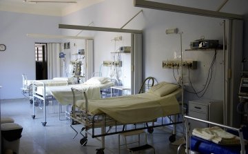 Újabb lépéseket tehetünk a régi életünk felé