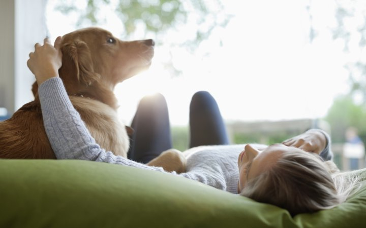 ELTE-kutatás: a kutya egyszerre gyerek és legjobb barát