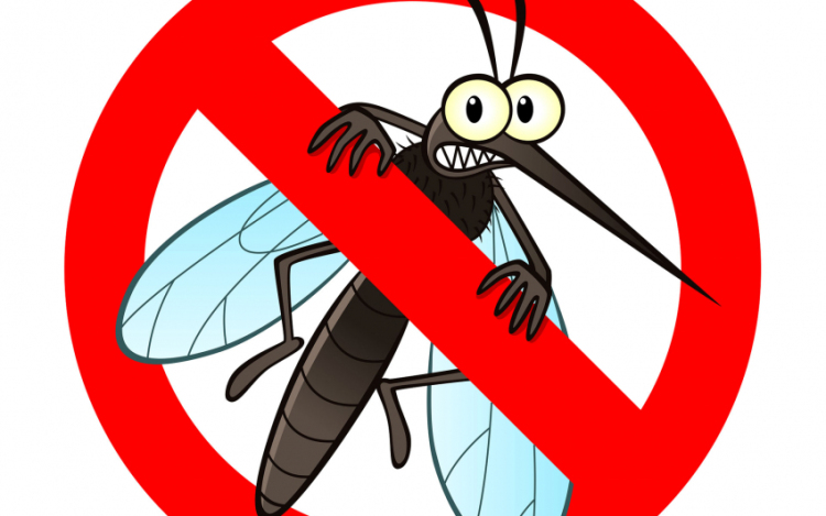 Katasztrófavédelem: Budapesten és hét vármegyében lesz szúnyogirtás a héten