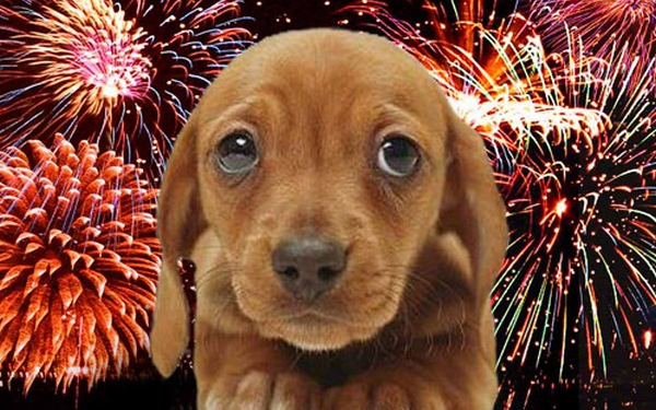 Előzzük meg a petárdabaleseteket!