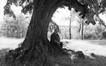 „Eljutni embertől Emberig”