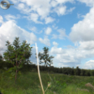 Jelzésfestés a Delta Turista Egyesülettel