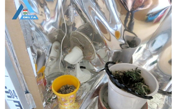 A szekrényben nevelte a kannabiszt egy kaposszekcsői férfi