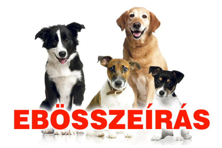 Ebösszeírás Dombóváron