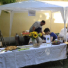 Remekül sikerült a „Vár a megye”