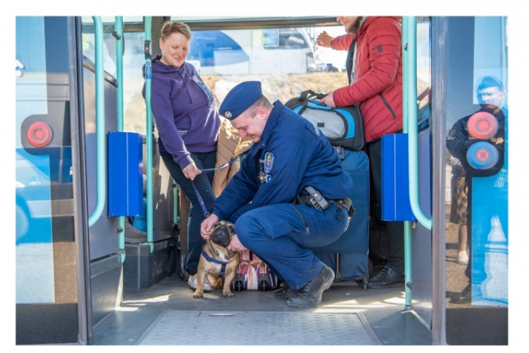 Több mint 12 ezren érkeztek csütörtökön Ukrajnából