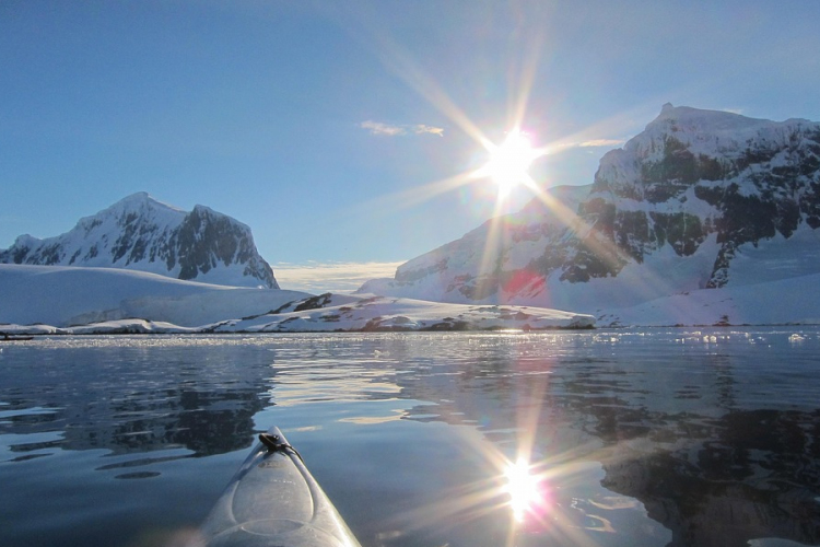 Hálóba gabalyodott, hátúszó nélküli hosszúszárnyú bálnát láttak az Antarktiszon